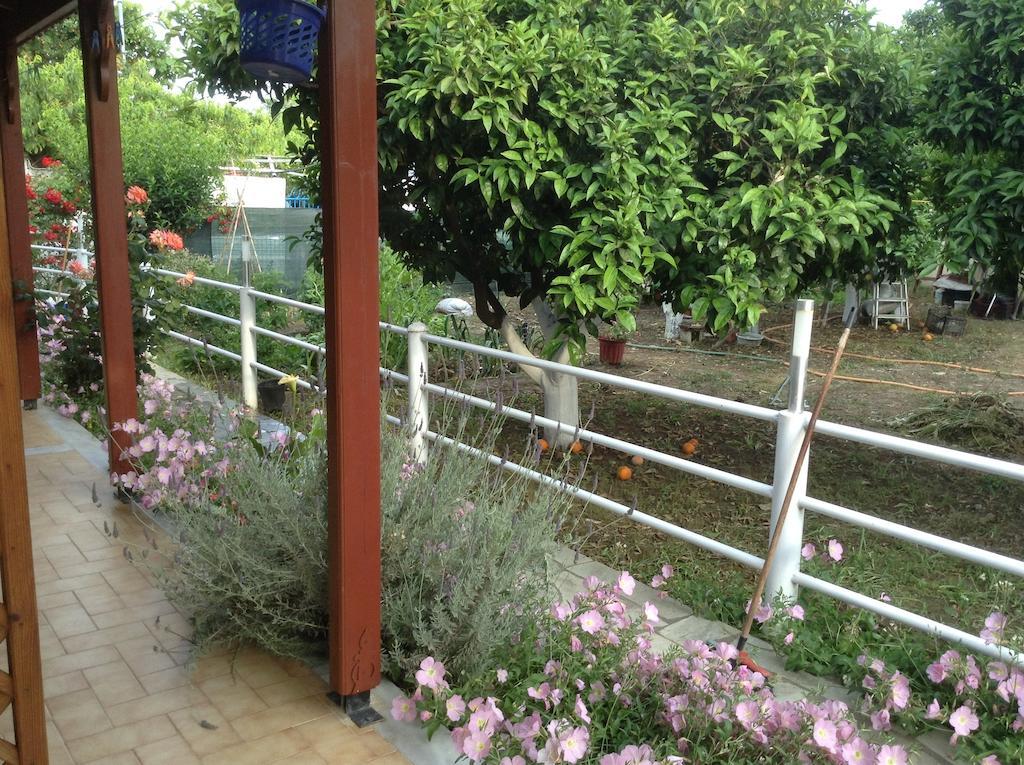 Studios Lalu Skiathos Pokoj fotografie