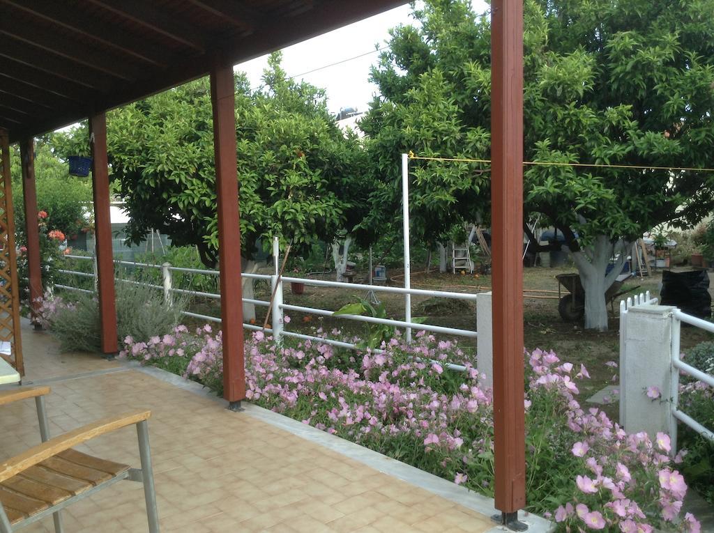 Studios Lalu Skiathos Exteriér fotografie
